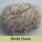 Birds Dune