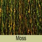Moss