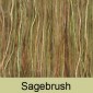 Sagebrush