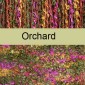 Orchard