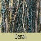 Denali